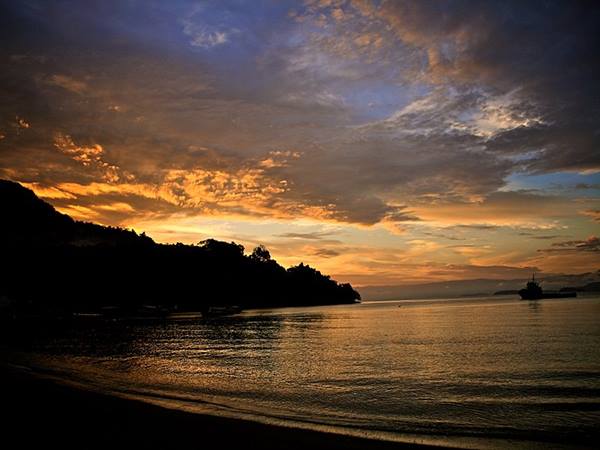 സ്നേക്ക് ഐലന്‍ഡ്, ബ്രസീല്‍