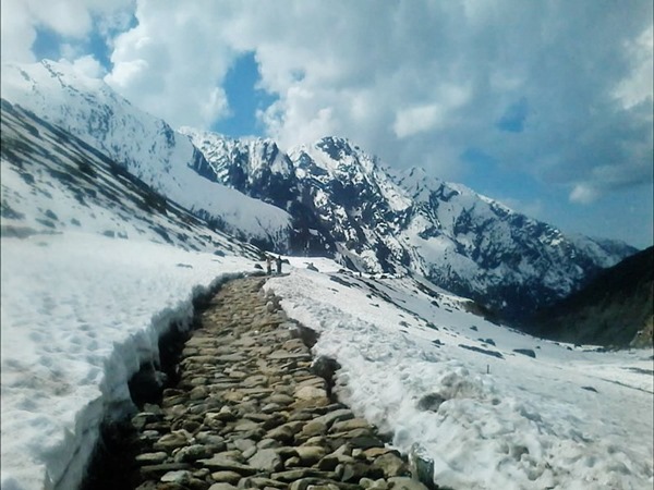 ഹെലികോപ്റ്റർ