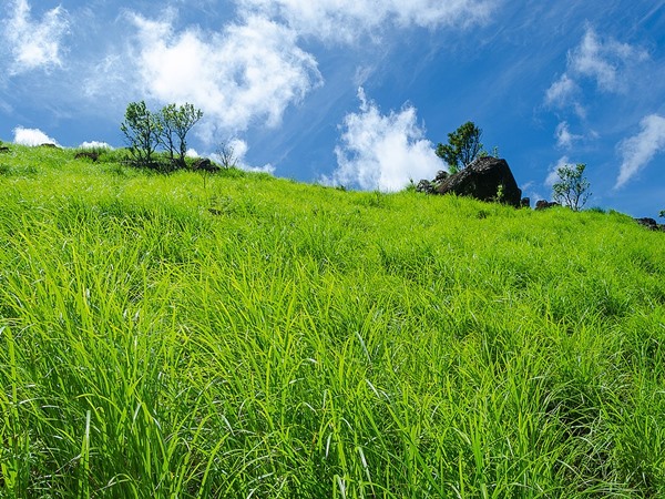 അതിരാവിലെ പോകാം