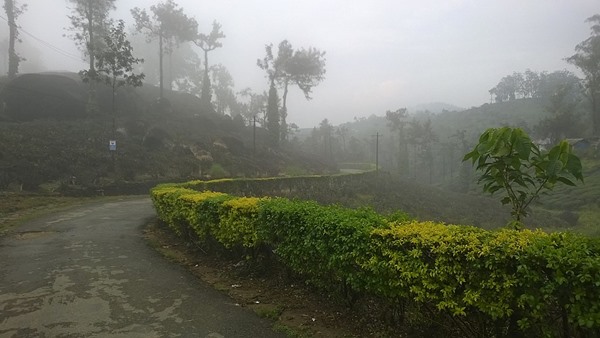 ചെങ്ങന്നൂർ - മലക്കപ്പാറ -ഉല്ലാസയാത്ര- ഓഗസ്റ്റ് 13