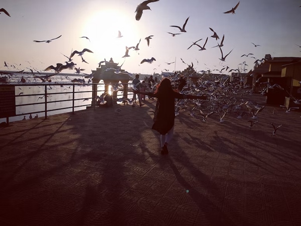 ഡിവൈന്‍ ഗുജറാത്ത് വിത്ത് സോംനാഥ് & ദ്വാരക