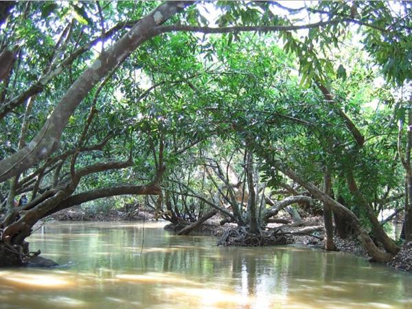 നിയന്ത്രിത പ്രവേശനം