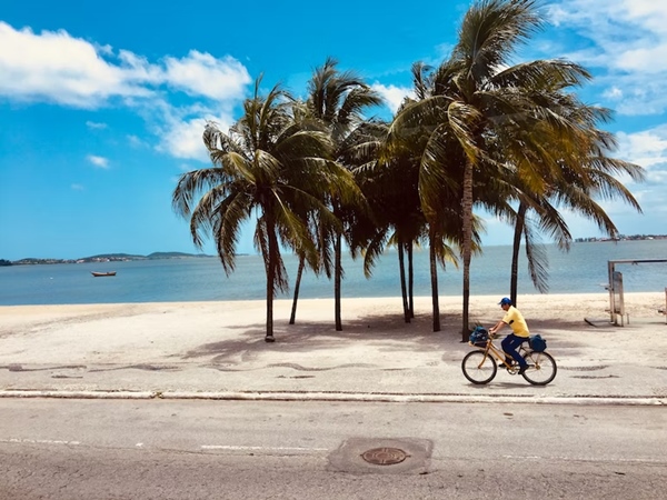 ഔദ്യോഗിക ഭാഷ പോർച്ചുഗീസ്