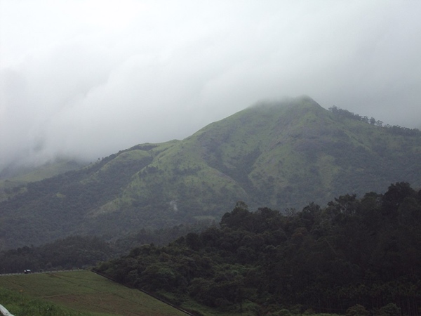 മാനന്തവാടി