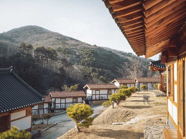 സമാധാനവും ആനന്ദവും നിറഞ്ഞ തീർഥാടനങ്ങൾ