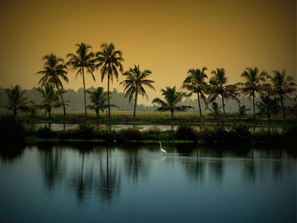 പുലർച്ചെ വരാം