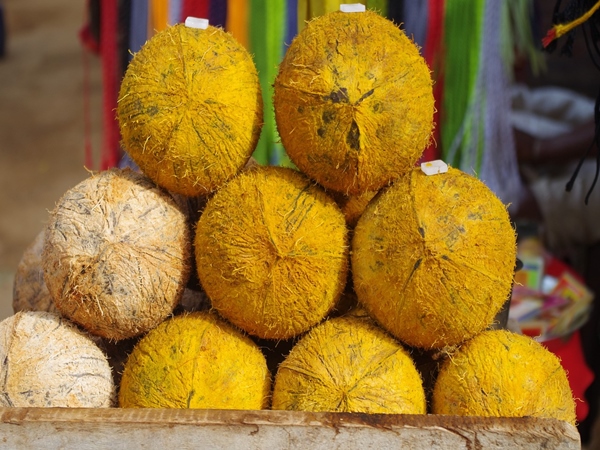 മകര സംക്രമണ