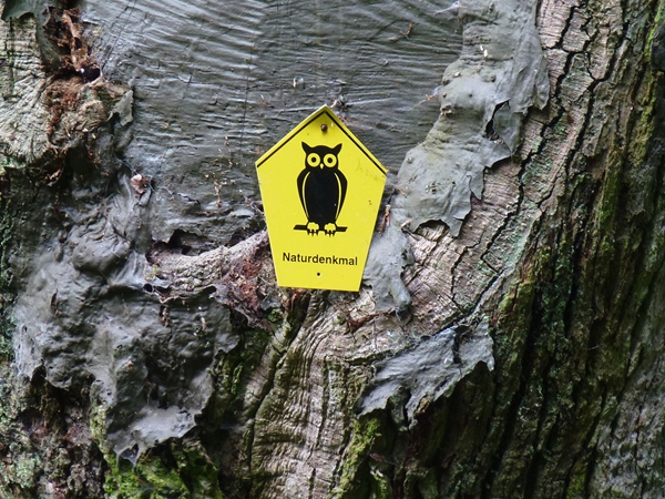 ഓഹർട്ടിന്റെ പ്രണയം