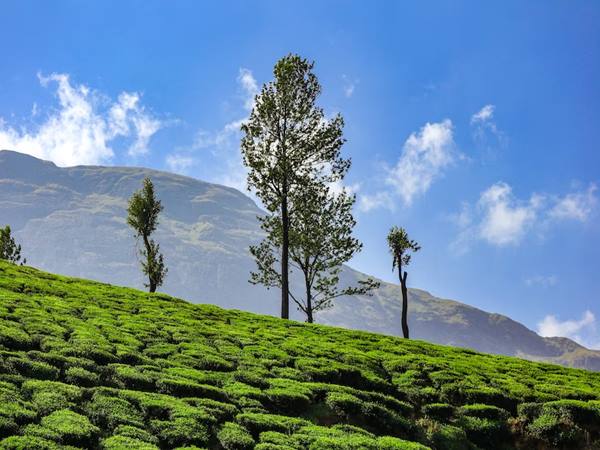 താമസവും ഭക്ഷണവും
