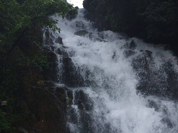 ലക്കം ട്രക്കിങ്