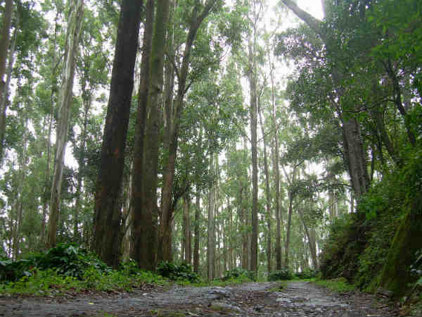പത്തനംതിട്ടയില് ‍ നിന്നും വരാം
