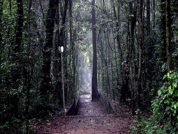  ഇരിങ്ങോൽ ഭഗവതി ക്ഷേത്രം 