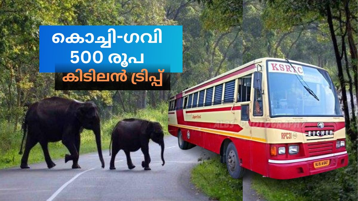 Kochi To Gavi KSRTC Bus Travel