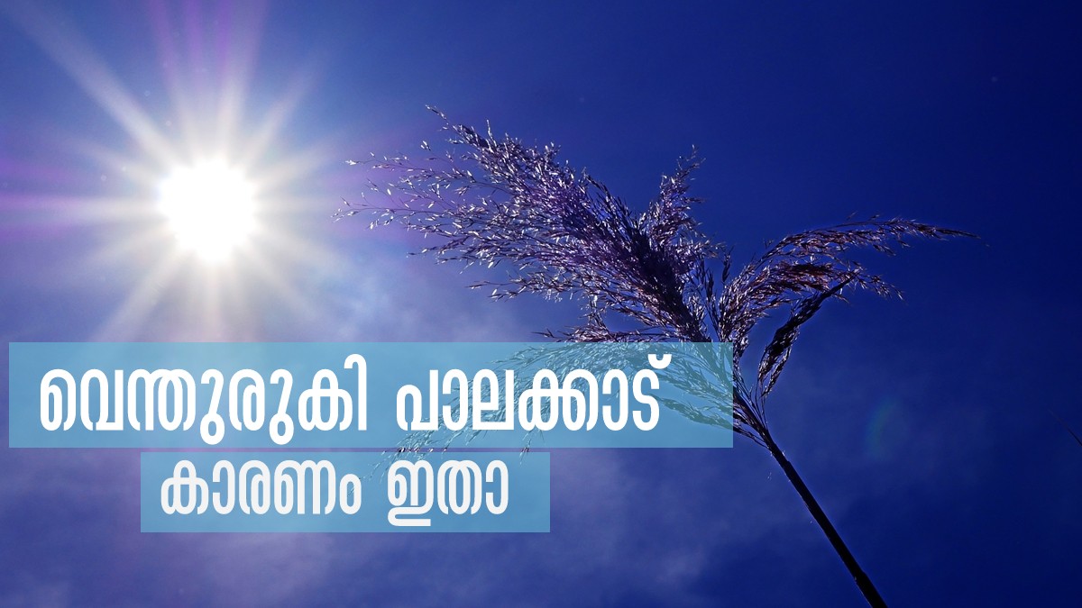  Reasons Why Palakkad Has Higher Temperature 