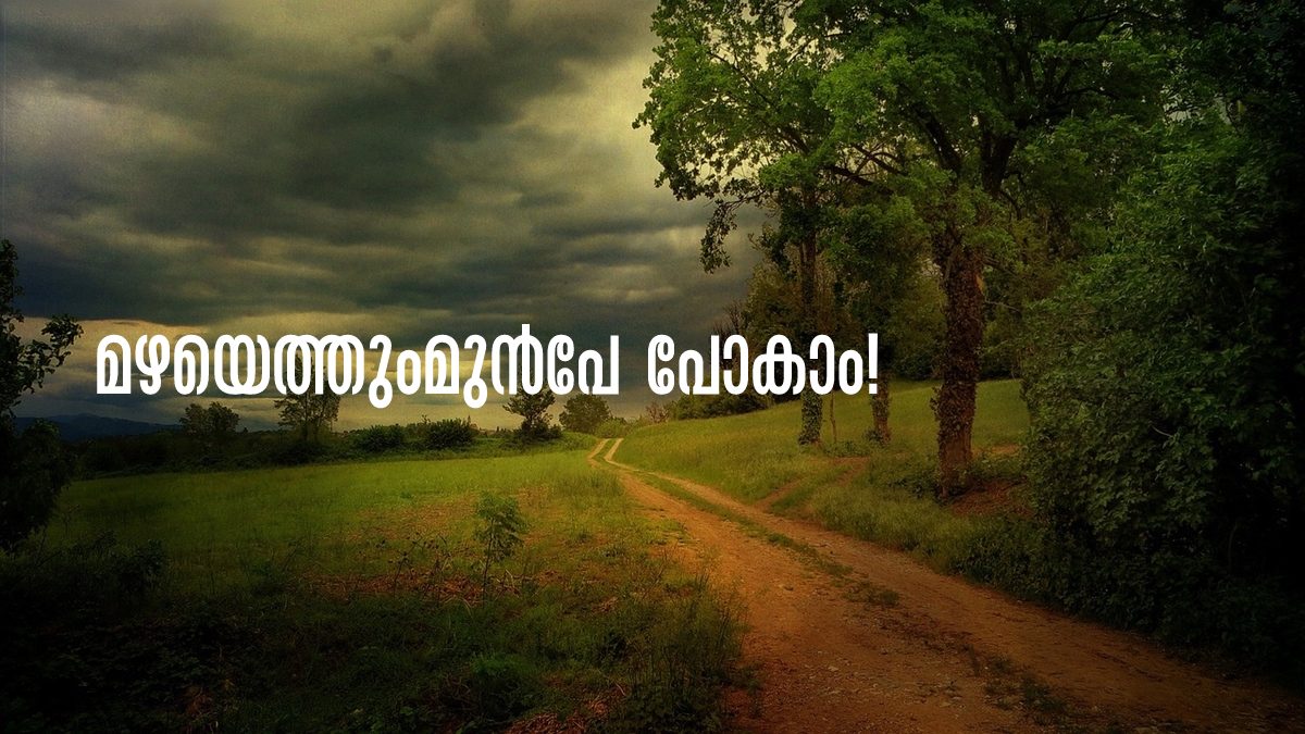 Palakkad KSRTC Wayanad And Gavi Trip On May 20,