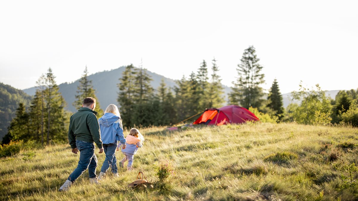 KTDC Vacation Skillcation Programme 