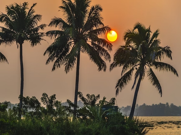 mandovi river cruise