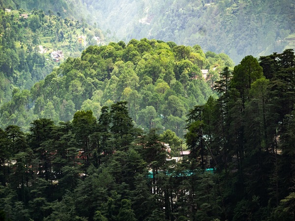 Kochi- Manali Shimla Chandigarh travel package