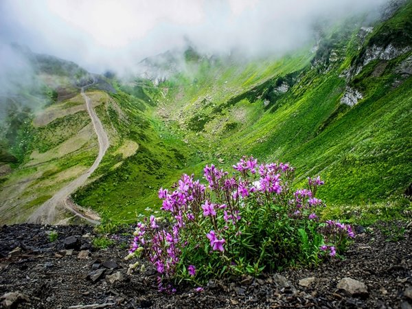Valley Of Flowers Trek 2023 opening date
