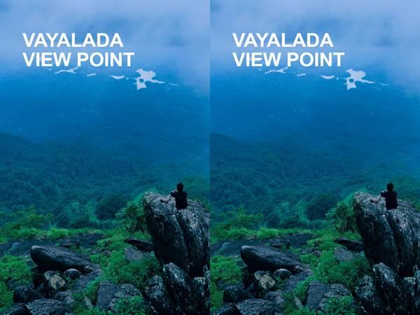 vayalada view point