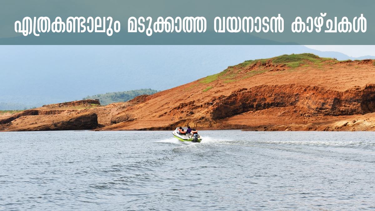 Most Visited Places In wayanad