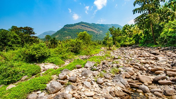 Thonikkadav In Kozhikode