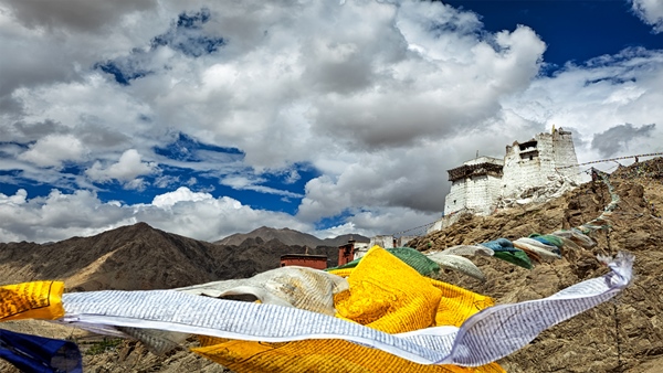 ladakh tour package from delhi,
