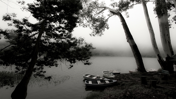 munnar places to visit