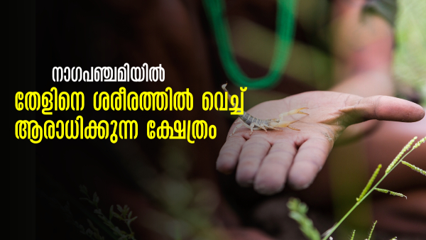 Temple In Karnataka Worship Scorpion