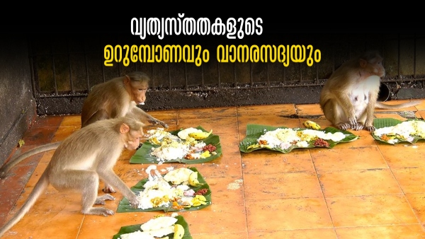 onam for animals
