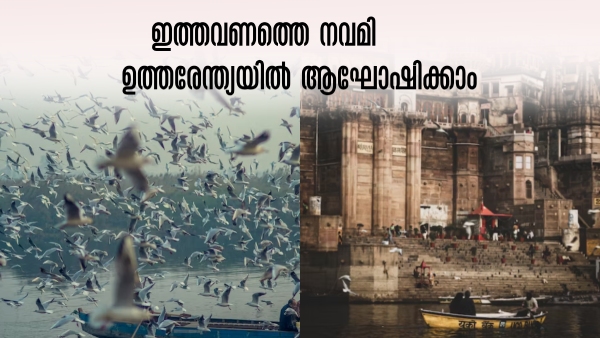 Railway North India Tour