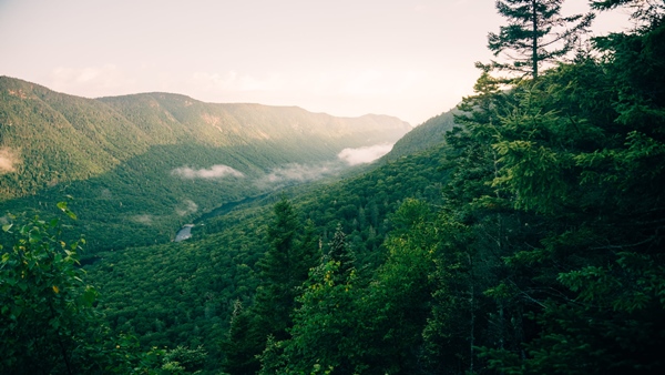 Kozhikode To Munnar, Vagamon, Gavi & Wayanad,Malampuzha Details