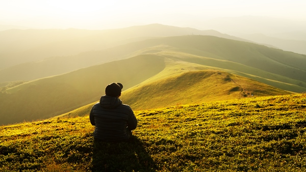 : Plan a Budget Trip To Munnar Under 5000