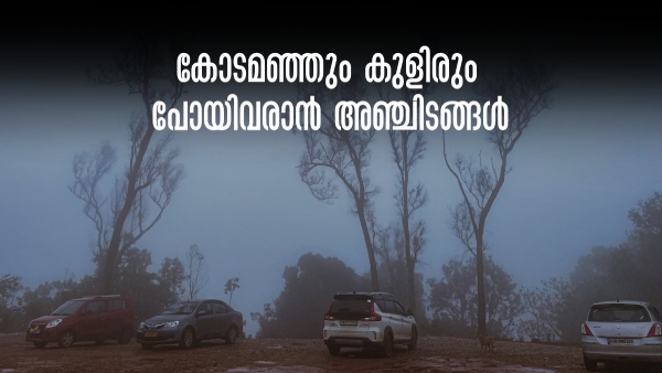 Bangalore Travel Plans: