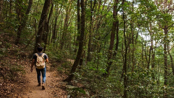 Athirappilly Falls- Trekking
