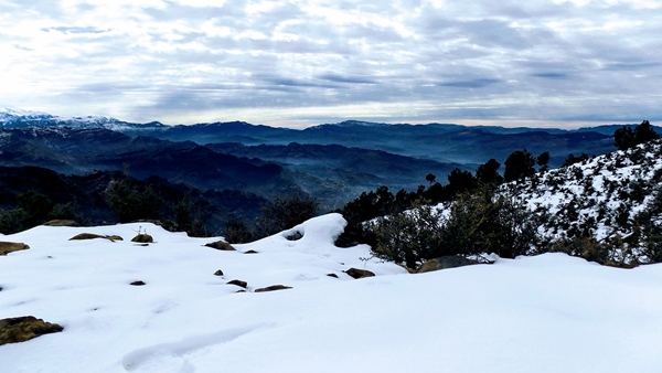 Snowfall In Kashmir Including Sonamarg