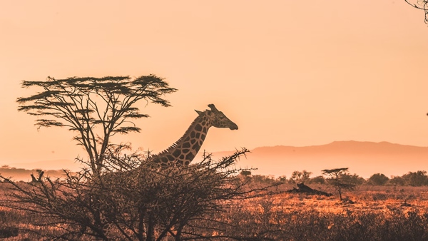 These Are The Reasons Why Kenya Is Your Next Travel Places