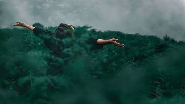 Silent Valley National Park-Travel