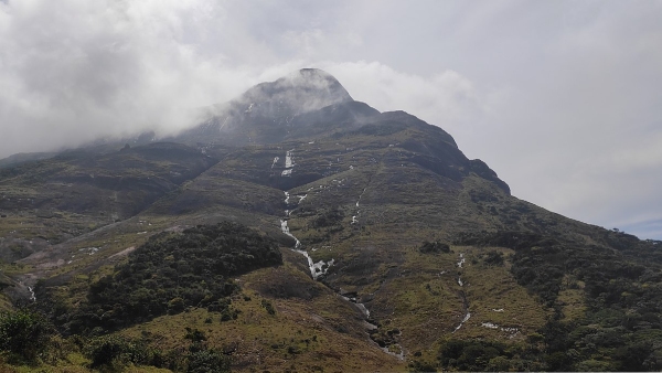 Agasthyarkoodam Trekking 2024 Online Booking