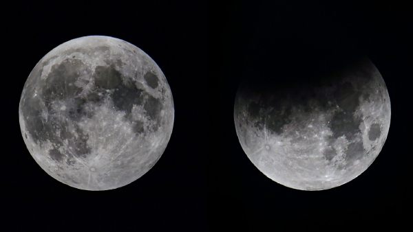 Lunar Eclipses in 2024