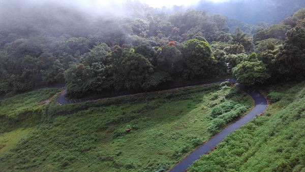 Thekkady- Gavi Bus Service Travel Package