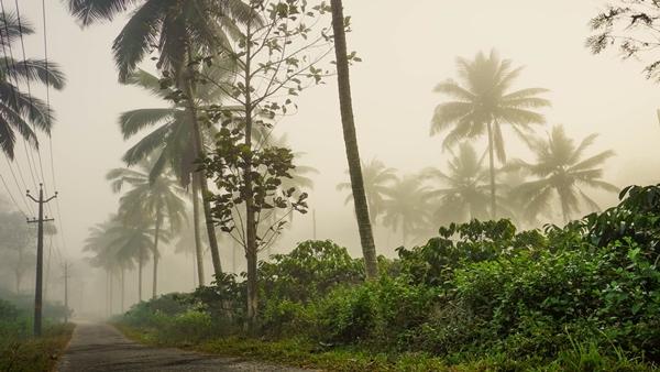 KSRRC Kollam Tour Programs-Complete List