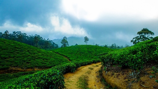 budget-friendy-april-vacation-ideas-to-vattavada-kanthallur-munnar-and