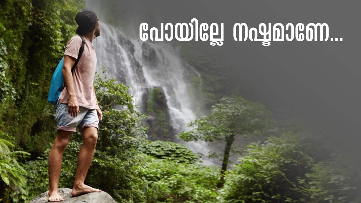 budget-friendy-april-vacation-ideas-to-vattavada-kanthallur-munnar-and