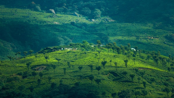 Kollam KSRTC Summer Special Travel Packages