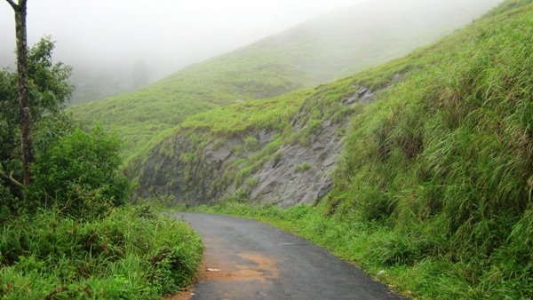 Gavi Travel Package Will Cost More