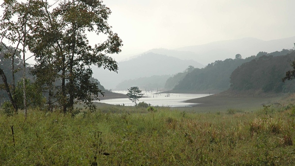 Periyar Tiger Reserve Nature Walk Short Day Trek