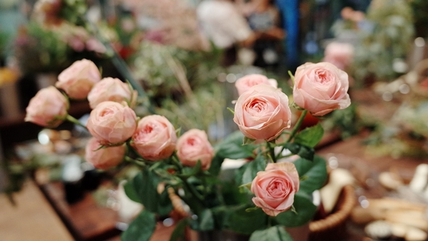 Munnar Flower Show Till May 12