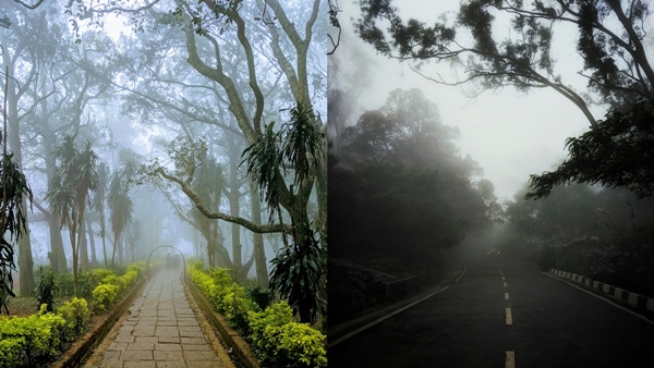 -Explore Nandi Hills During Daytime After Sunrise Here Is Why