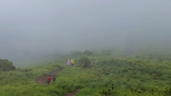 Paithalmala Monsoon Trekking
